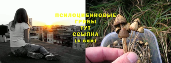 мдпв Богородск