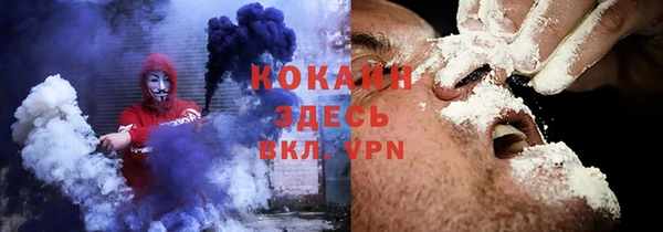 a pvp Бородино