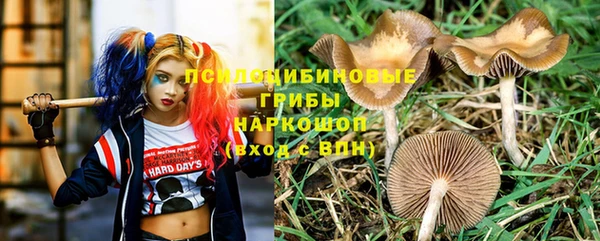 a pvp Бородино
