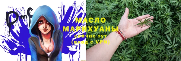 мдпв Богородск