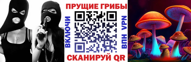 Псилоцибиновые грибы Cubensis  Улан-Удэ 